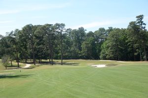 Palmetto 8th Approach